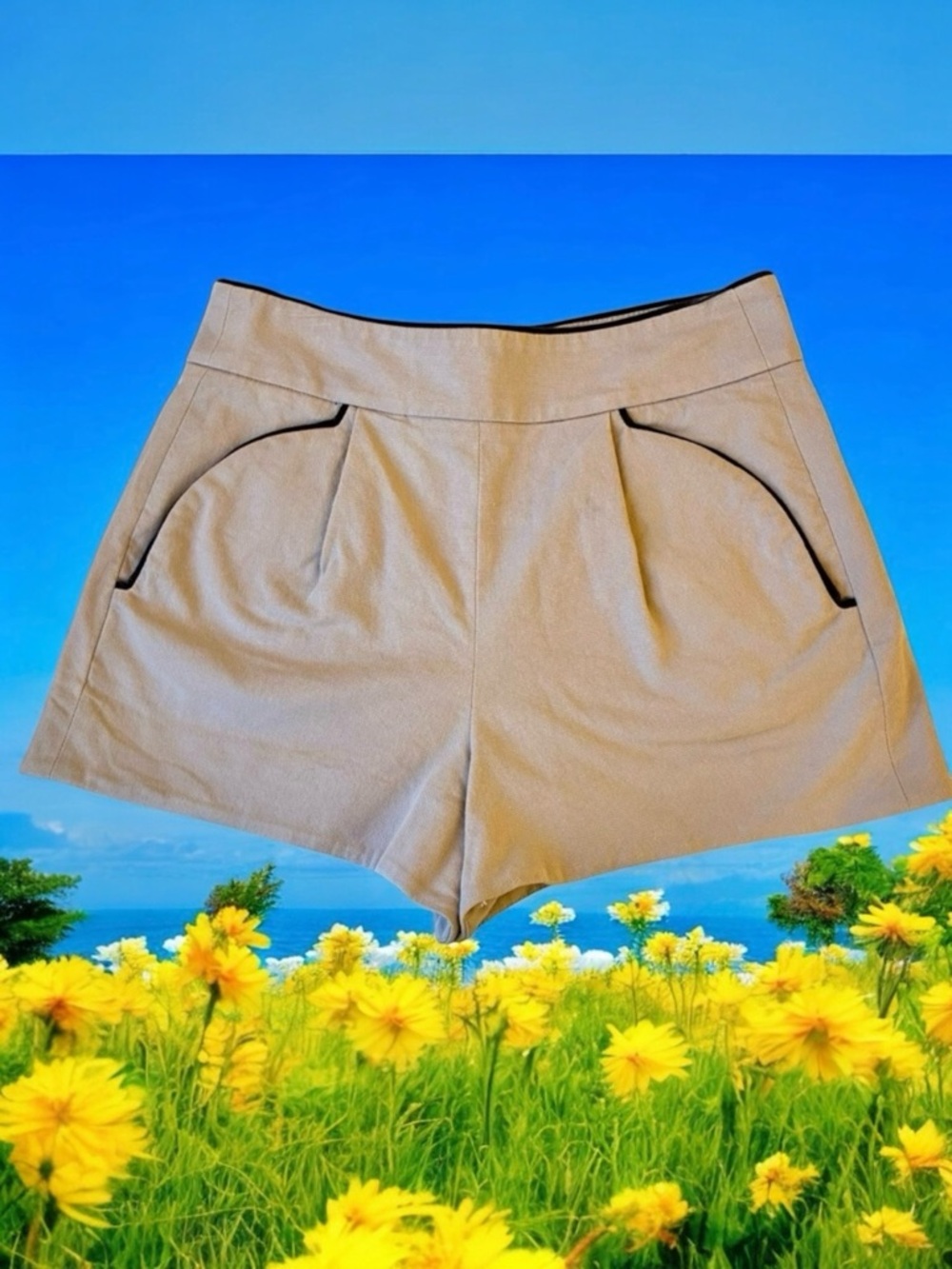 FRENCH CONNECTION Womens High Rise Shorts Pockets Back Zipper size 6